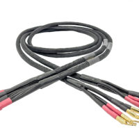 Cablu De Boxe High-End Tara Labs The Caprice II Bi-Wire, Cupru 8N, Conductori Rectangulari, 2x2.4m