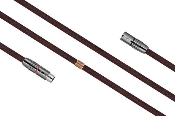 FLAT-ONE XLR 2