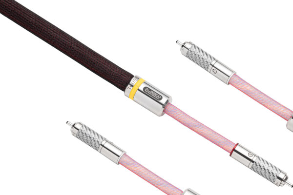 Metamorphosis Signature DIGITAL RCA 6
